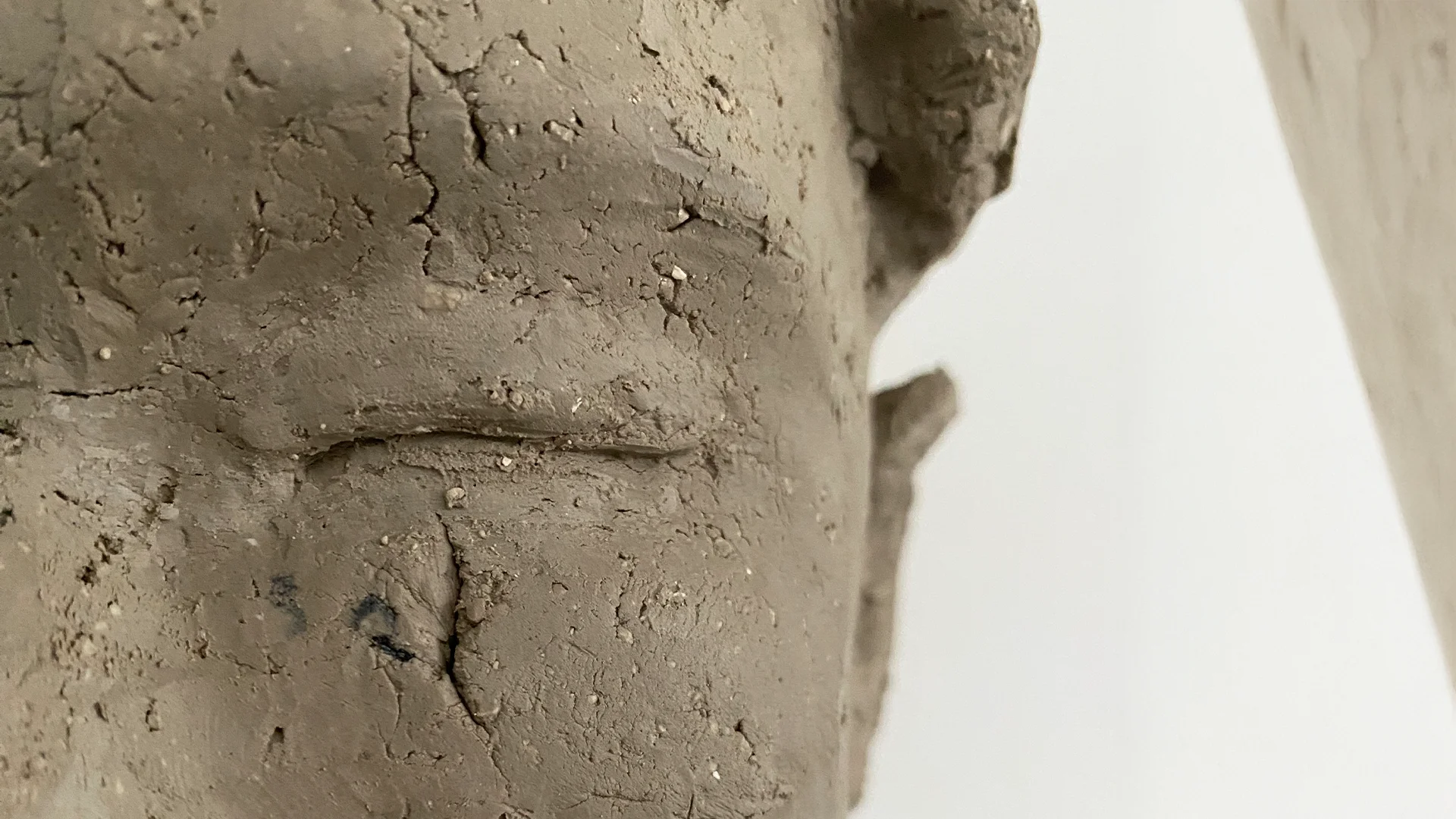 BODILY IN-FORMED SURFACES